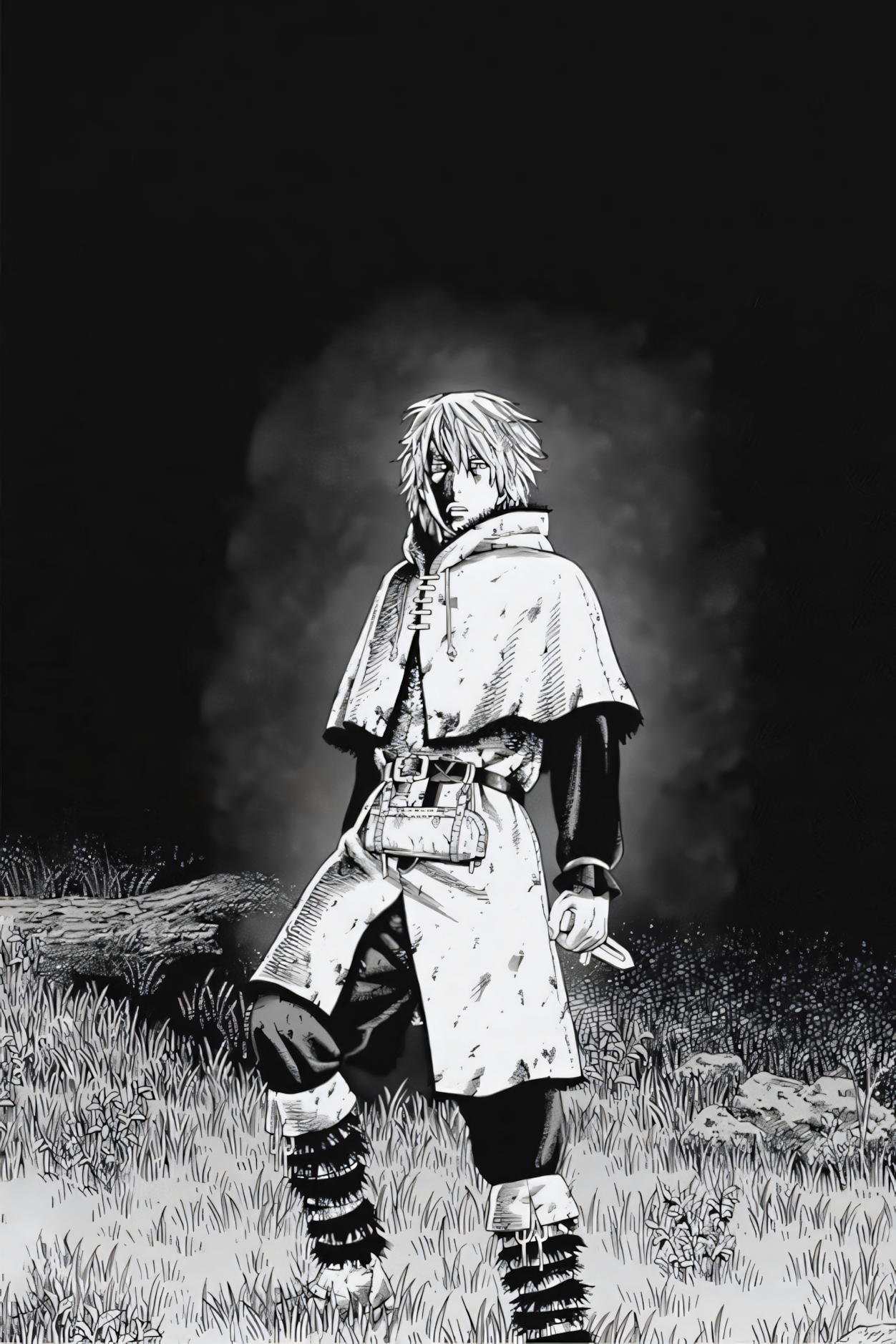 Vinland Saga